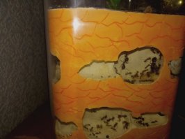 у меня тоже