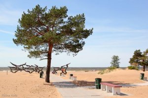 Это сарказм?На финском заливе есть пляжи.Это как от Сочи до Адлера.