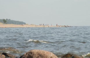 Это сарказм?На финском заливе есть пляжи.Это как от Сочи до Адлера.