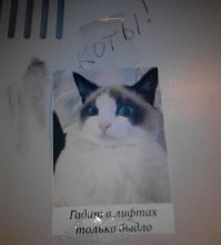 Демотиваторы о лифтах