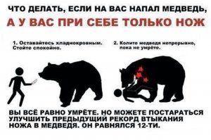 Охотникам, грибникам, таёжникам надо знать базовые правила поведения при встрече с медведем. Один из самых эффективных методов - носить с собой закупоренную химическую колбу с нашатырным спиртом в наружнем кармане. Чтоб в случае чего можно было быстро достать и разлить на себя или даже сквозь ткань раздавить рукой. Медведь этот запах просто не переносит, он постарается как можно быстрее и дальше свалить от вас.
Хотя, если медведь задумал вас убить - он вас убьёт. Просто из кустов молниеносно выскочит и проломит вам череп одним ударом.
Хорошо только одно, медведь боится нас так же как мы его, и в 99% случаев постарается избежать с вами встречи. Исключения составляют подранки, шатуны, и медведицы с потомством.
В общем нашатырный спирт один из самых доступных и эффективных методов, так как спреи не все действуют и достать их ещё надо из крамана и распылить, оружием вы можете и не воспользоваться. а если не знаете куда в медведя стрелять и чем, то лучше его не злите даже, фальшфееры работаю 50 на 50, каких то медведей напугают, других привлекут, ну очевидно что бегать от медведя бессмысленно, только спровоцируете поведением жертвы. Если и отходить то лицом к нему и без резких движений.