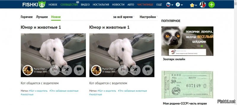 Юмор и животные 1