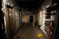 Или так, судя по проживающему контингенту: