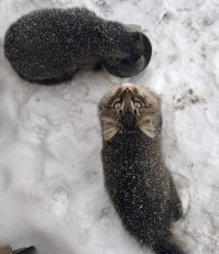 Минск, частный сектор.