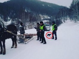 Шакал Табаки привел в лес бандерлогов в погонах и трусливо прячется.