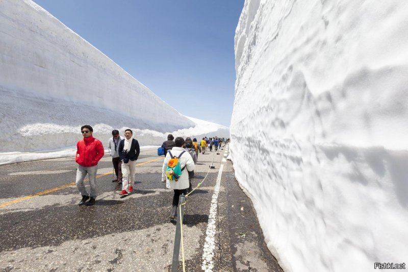 Заголовок поста странный.Почему "снежный кошмар"?Вот в Японии на острове Хоккайдо ежегодно туристов возят в снежные тоннели в горах.Денежку на этом зарабатывают.