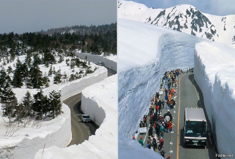 Заголовок поста странный.Почему "снежный кошмар"?Вот в Японии на острове Хоккайдо ежегодно туристов возят в снежные тоннели в горах.Денежку на этом зарабатывают.