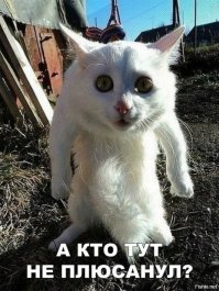 Прикольные и смешные картинки