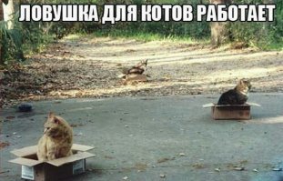 Демотиваторы