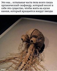 Странности нашего мозга