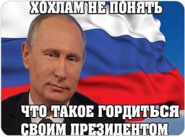 Прикольные и смешные картинки