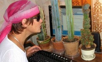 Ага... а кактусы защищают от "компьютерной радиации"