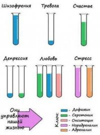 Почему не работает кодировка при алкоголизме?