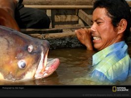 Улов решил отомстить рыбаку