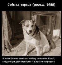 Парадные и поребрики :)  Коммунальные службы на  Мальдивах отдыхают?
... тогда нормально   а чо? 
... а вообще, "весна покажет - кто и где срал!" (c)