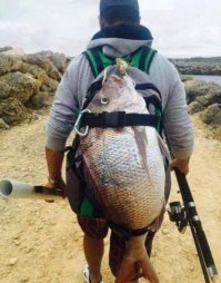 Улов решил отомстить рыбаку