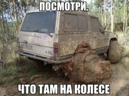 На колёсах: пост для тех, кто полагает, что видел всё