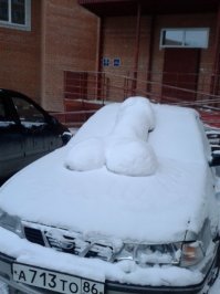 Зимний розыгрыш над автомобилистом