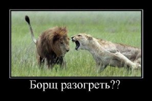 "Правила хорошей жены"