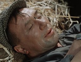 Китайский распорядок жизни