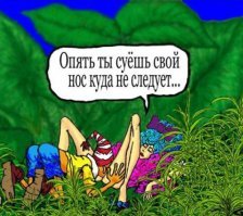 Прикольные и смешные картинки
