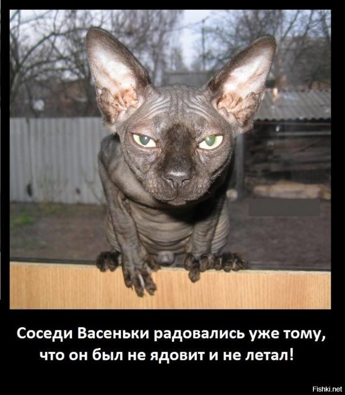 Странное существо голлум напугало охотника в лесу азербайджане