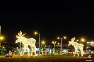 А у нас в Минске вот такие лоси)))
