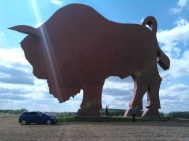 А кто сравнится с нашим зубром?