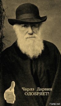 Посетители сафари стали очевидцами нападения львов на парня, забравшегося за ограду