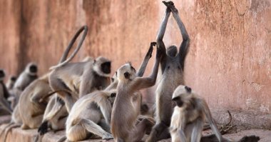 Воспитание через труд ( хорошие новости из Дагестана)