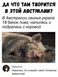 Прикольные и смешные картинки