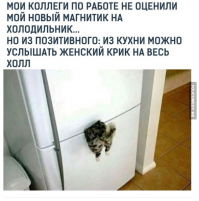 Прикольные и смешные картинки