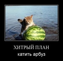 Картинки с надписями для настроения