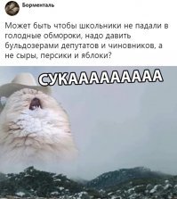 Правительство дало положительные отзывы на законопроекты о неуважении к власти