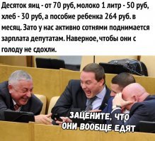 Правительство дало положительные отзывы на законопроекты о неуважении к власти
