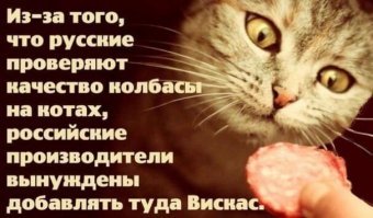 Прикольные и смешные картинки