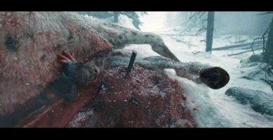 Ди каприо оценит