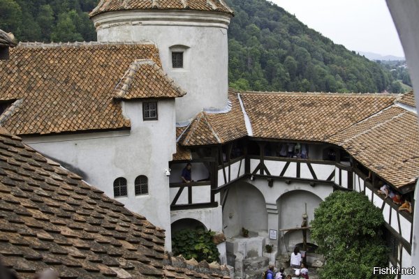 эти фото необычны. но трансильвания действительно очень красива природой и историческими памятниками, замками и самым известным замком дракулы.