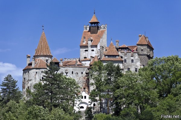 эти фото необычны. но трансильвания действительно очень красива природой и историческими памятниками, замками и самым известным замком дракулы.