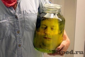 Прикольные и смешные картинки
