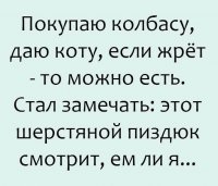 Прикольные и смешные картинки