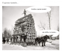 Прикольные и смешные картинки