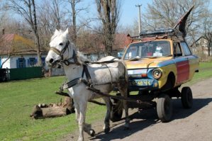 Прикольные и смешные картинки