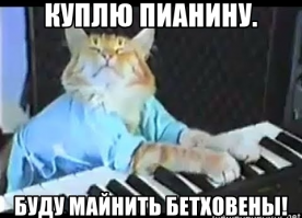 - почем нынче 1 бетховен?
- 100 дурилок!