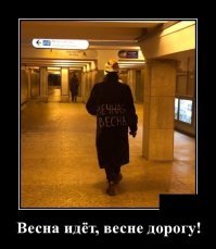 Думаю здесь совершенно другой смысл:
Под столетними сугробами библейских анекдотов
Похотливых православных и прожорливых католиков
Покинутых окопов и горящих муравейников.

Вечная весна в одиночной камере.
Вечная весна в одиночной камере.

Под затопленными толпами, домами, площадями
Многолюдными пустынями, зловонными церквями
Раскалёнными х.ями и голодными влагалищами.
Вечная весна в одиночной камере.
Вечная весна в одиночной камере.

Сквозь зеркальные убежища, словарные запасы,
Богохульные мыслишки и не пропитые денюжки
Обильно унавоженные кладбища и огороды.
Вечная весна в одиночной камере.
Вечная весна в одиночной камере.
Источник teksty-pesenok.ru

Воробьиная, кромешная, пронзительная,
Хищная, отчаянная стая голосит во мне.
Воробьиная, кромешная, пронзительная,
Хищная, отчаянная стая голосит во мне.
Вечная весна в одиночной камере.
Вечная весна в одиночной камере.

Сотни лет сугробов, лазаретов, питекантропов,
Стихов, медикаментов, хлеба, зрелищ обязательных,
Лечебных подземельных процедур для всех кривых-горбатых
Вечная весна в одиночной камере.
Вечная весна в одиночной камере.

Воробьиная, истошная, оскаленная,
Хриплая, неистовая стая голосит во мне.
Воробьиная, истошная, оскаленная,
Хриплая, неистовая стая голосит во мне.