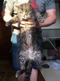 пару лет спустя)