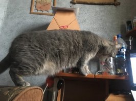 пару лет спустя)