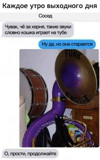 Обезображенного кота посчитали слепым, но он открыл свои потрясающие глазки