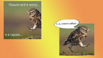 Смешная всячина
