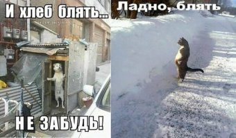 Смешная всячина